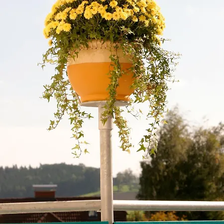 ガストホフ エルツヘルツォーク フランツ フェルディナンド ゲストハウス