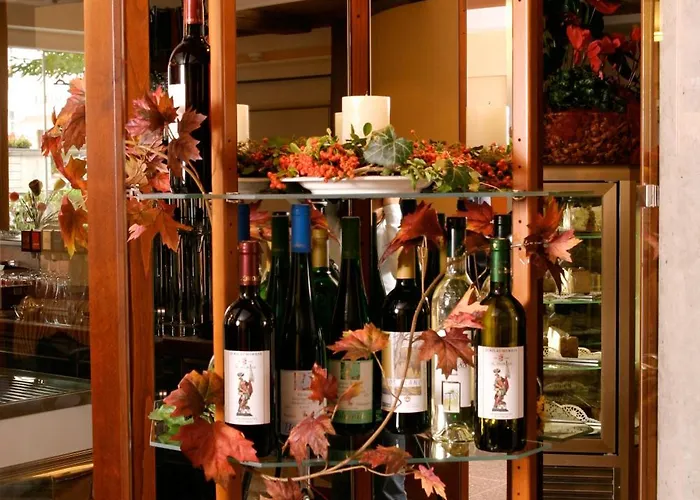 ゲストハウス ガストホフ エルツヘルツォーク フランツ フェルディナンド 3*