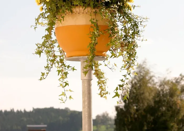 Erzherzog Franz Ferdinand Guest house